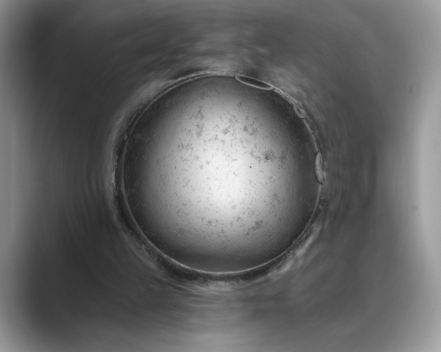 X0000089660149200707051536