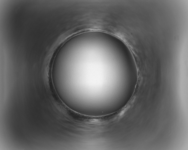 X0000089660151200707051536