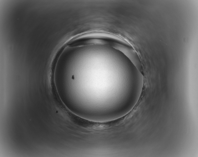 X0000089660152200707051536