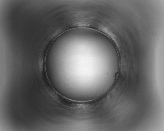 X0000089660153200707051536