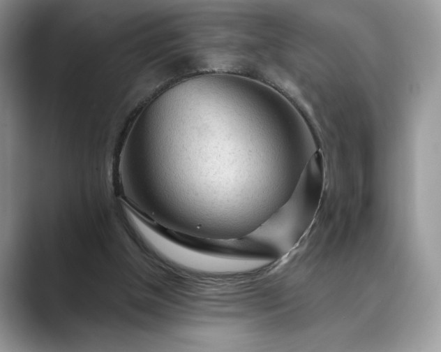 X0000089660154200707051536