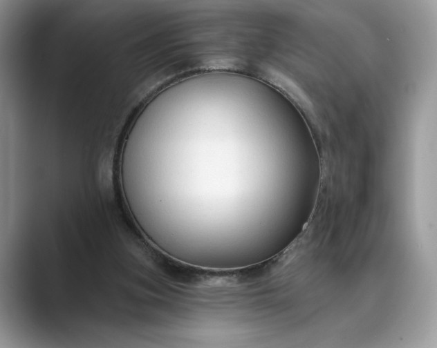 X0000089660155200707051536