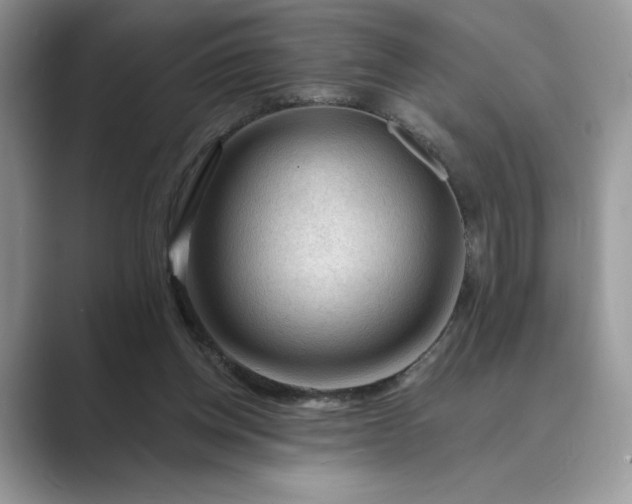 X0000089660158200707051536