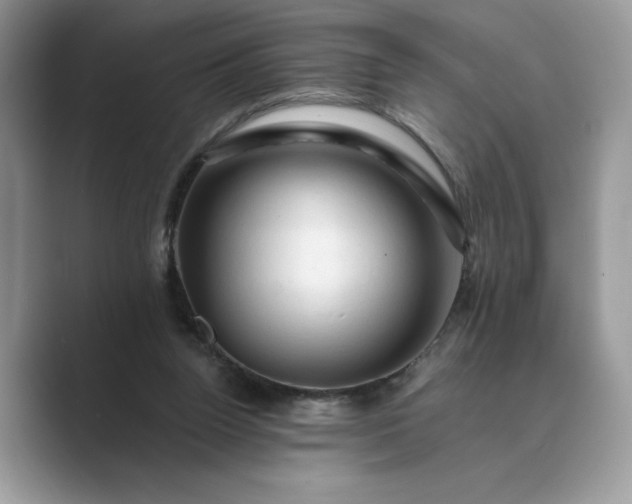 X0000089660160200707051536