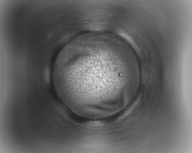 X0000089660161200707051536