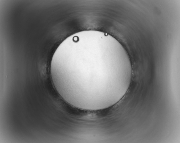 X0000089660162200707051536