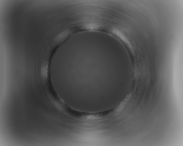 X0000089660163200707051536