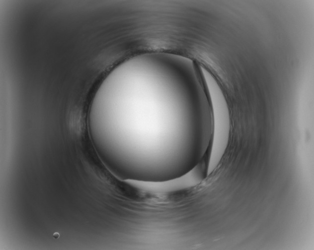 X0000089660164200707051536