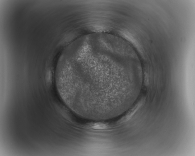 X0000089660165200707051536