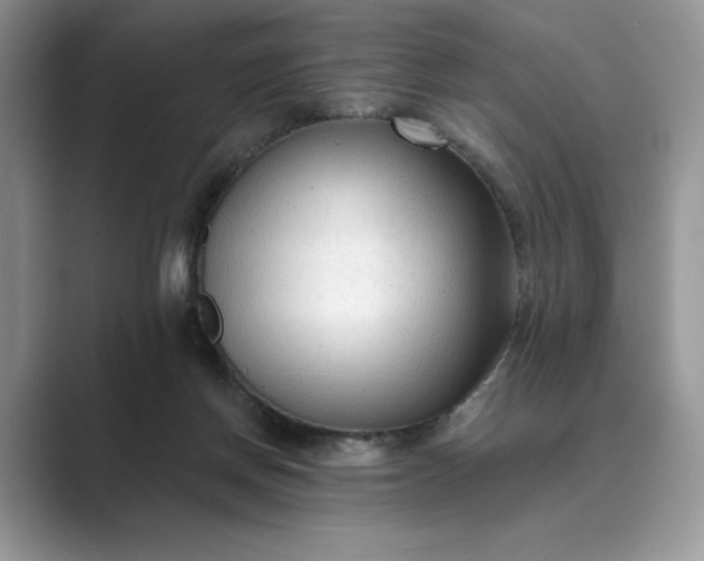 X0000089660166200707051536