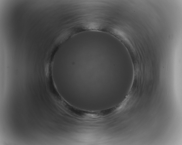 X0000089660167200707051536