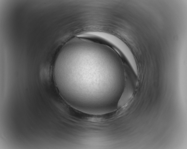 X0000089660168200707051536