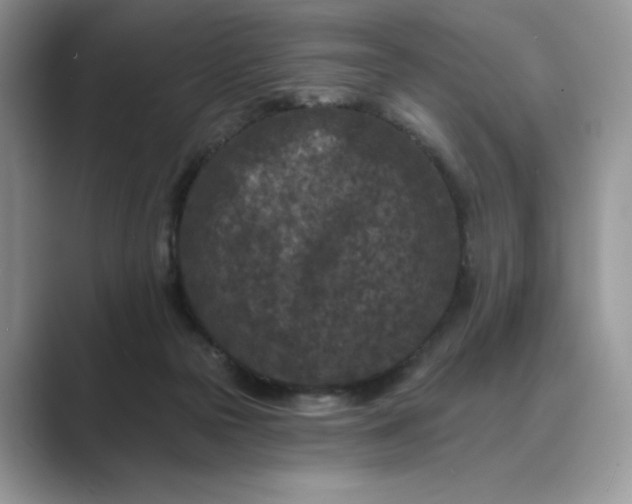 X0000089660169200707051536