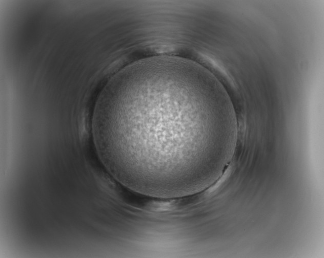 X0000089660170200707051536