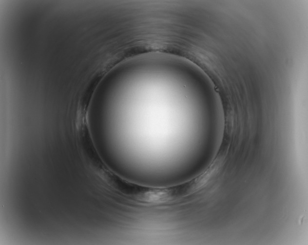 X0000089660172200707051536