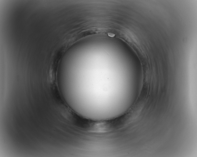 X0000089660173200707051536