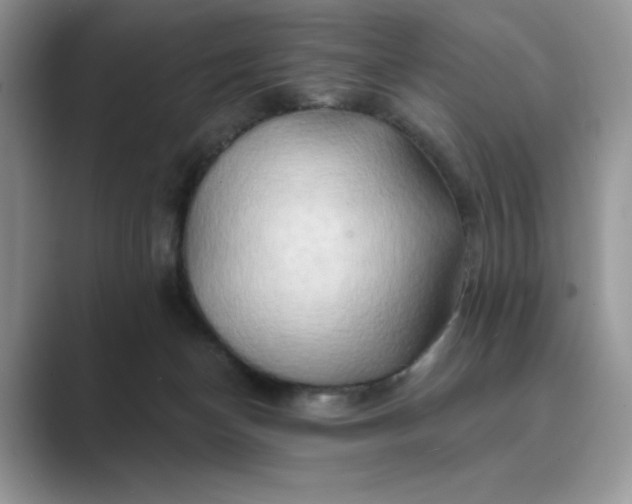 X0000089660174200707051536