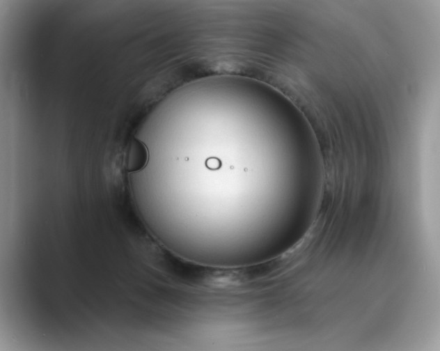 X0000089660175200707051536