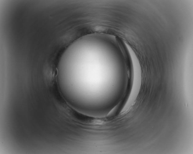 X0000089660176200707051537