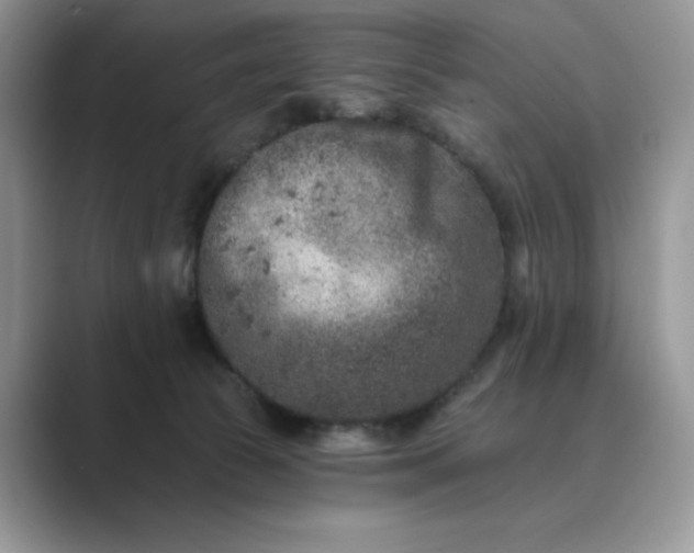 X0000089660177200707051537