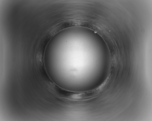 X0000089660178200707051537