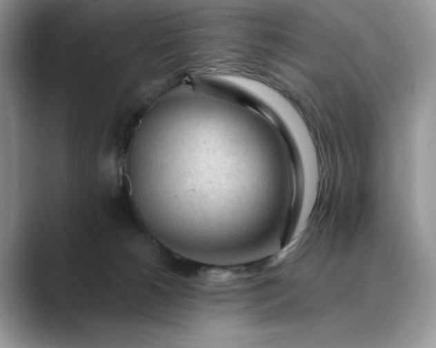 X0000089660180200707051537