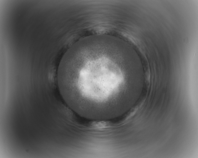 X0000089660181200707051537