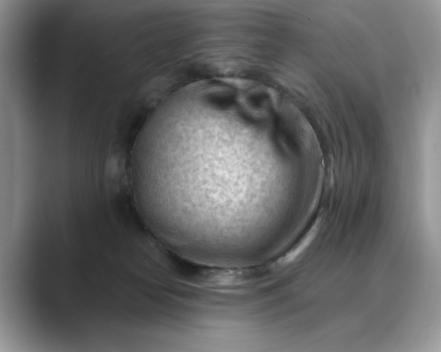 X0000089660182200707051537