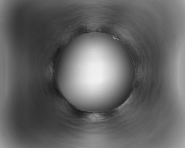 X0000089660183200707051537