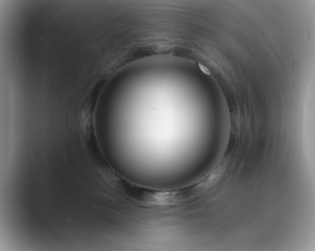 X0000089660184200707051537