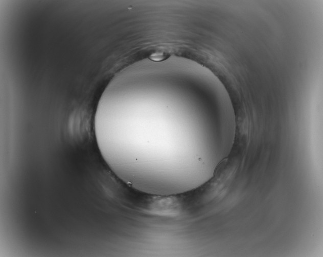 X0000089660185200707051537