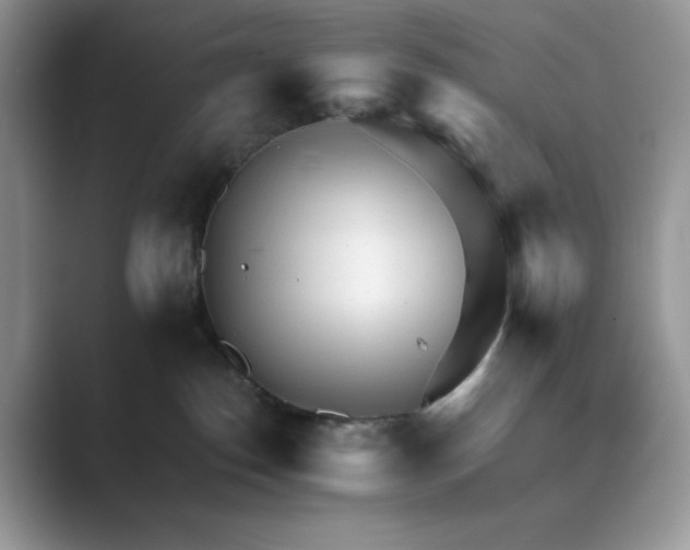 X0000089660186200707051537