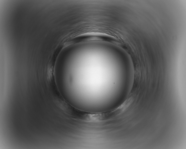 X0000089660188200707051537