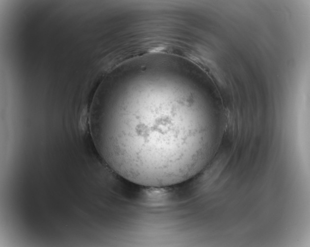 X0000089660189200707051537