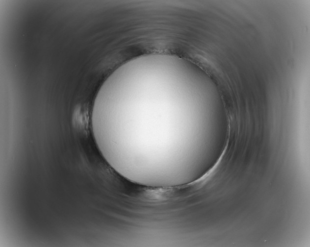 X0000089660190200707051537