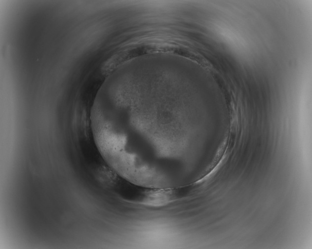 X0000089660191200707051537