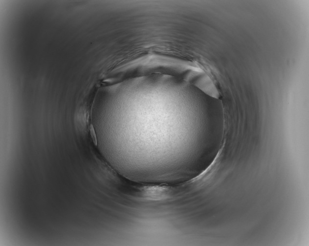 X0000089660192200707051537