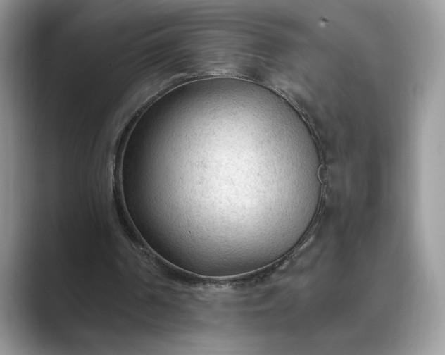 X0000089660194200707051536