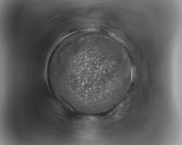 X0000089660195200707051536