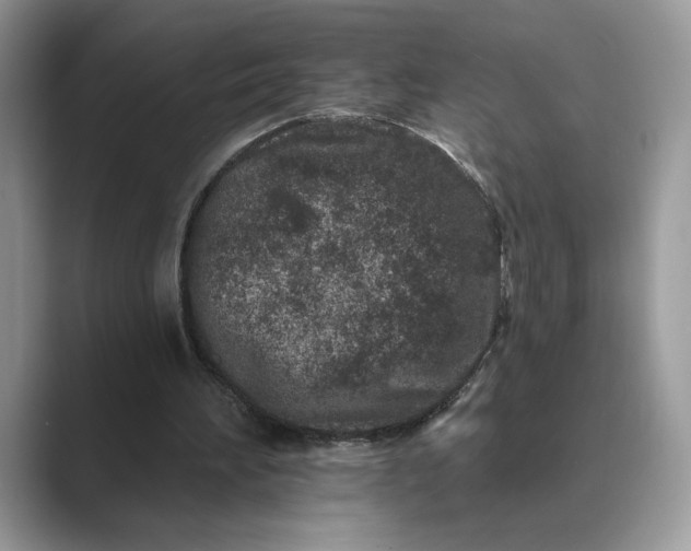 X0000089660196200707051536