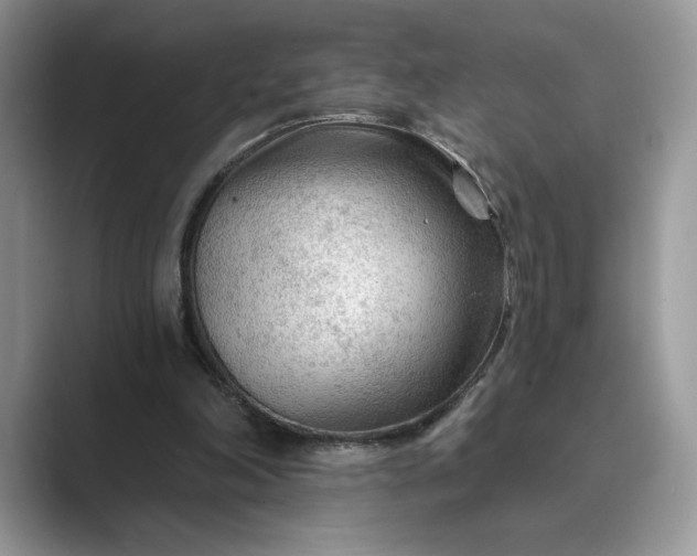 X0000089660198200707051536