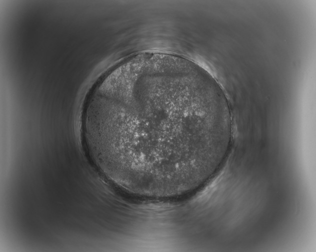 X0000089660199200707051536