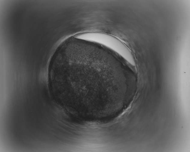 X0000089660200200707051536