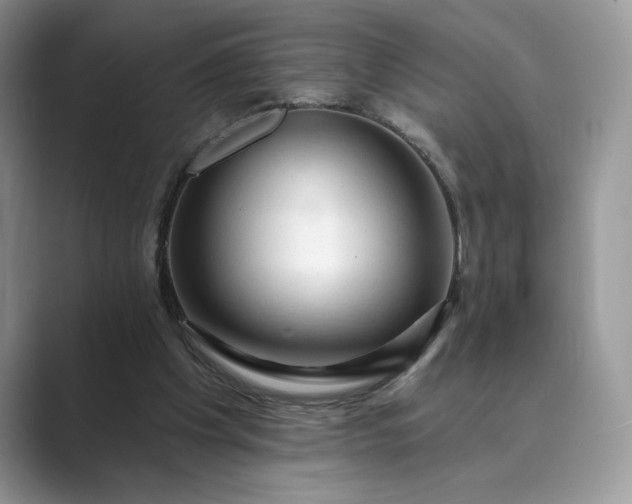 X0000089660201200707051536