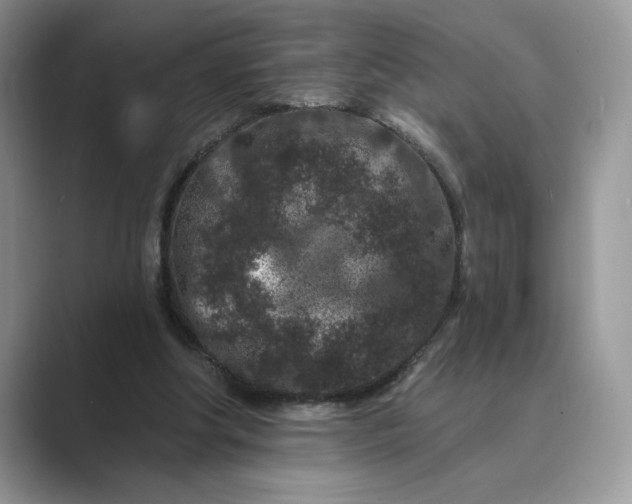 X0000089660202200707051536