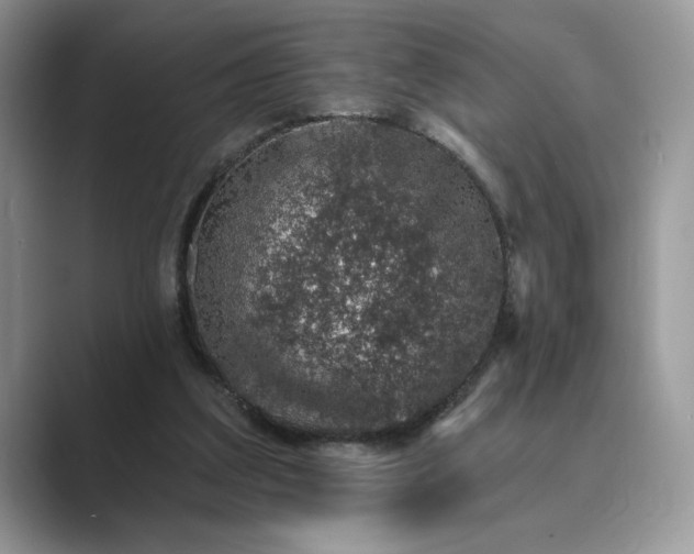 X0000089660203200707051536