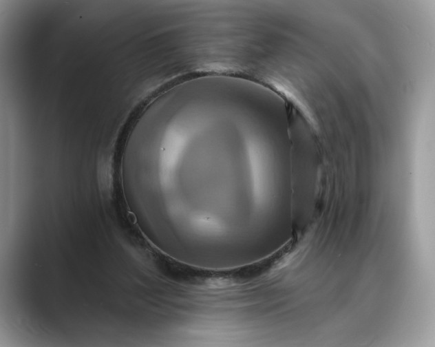 X0000089660204200707051536