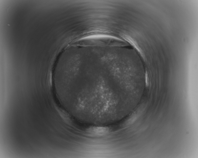 X0000089660205200707051536