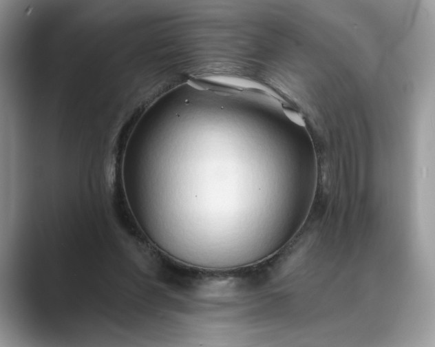 X0000089660206200707051536