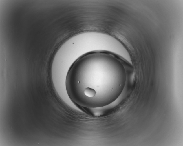 X0000089660207200707051536